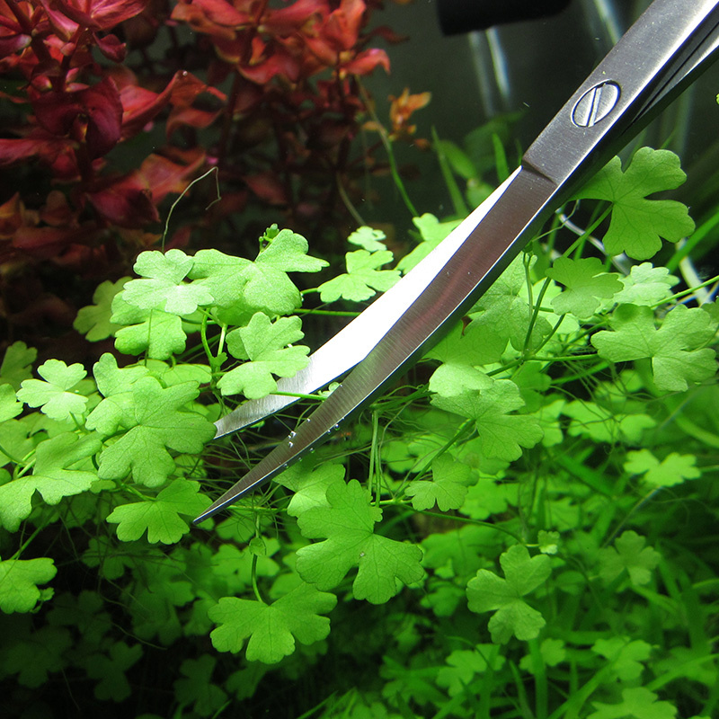 Aquarium Accessories Hard Stai - огляд і ціна Marine Aquarium Glass Cleaner